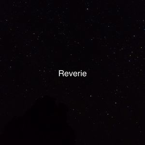 午夜精品视频在放无码
