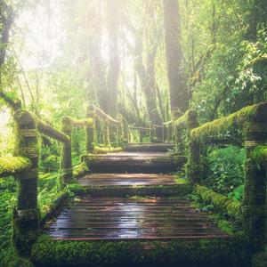 午夜精品视频在放无码
